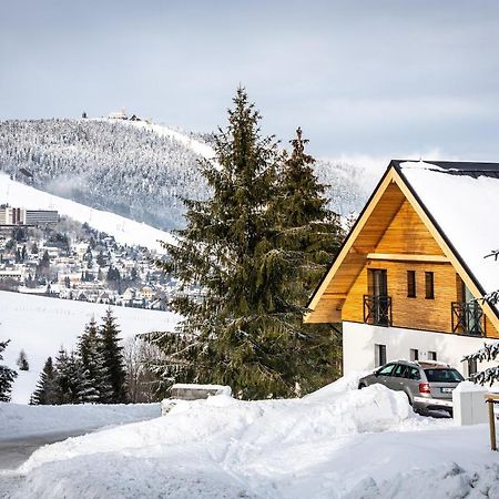 Ski Chalet Klinovec Loučná pod Klínovcem Eksteriør billede
