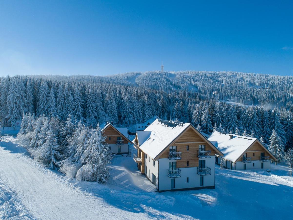 Ski Chalet Klinovec Loučná pod Klínovcem Eksteriør billede