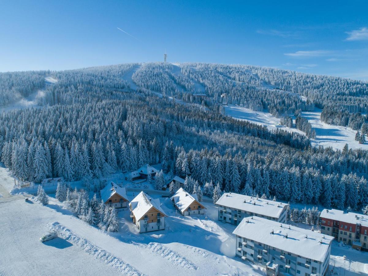 Ski Chalet Klinovec Loučná pod Klínovcem Eksteriør billede