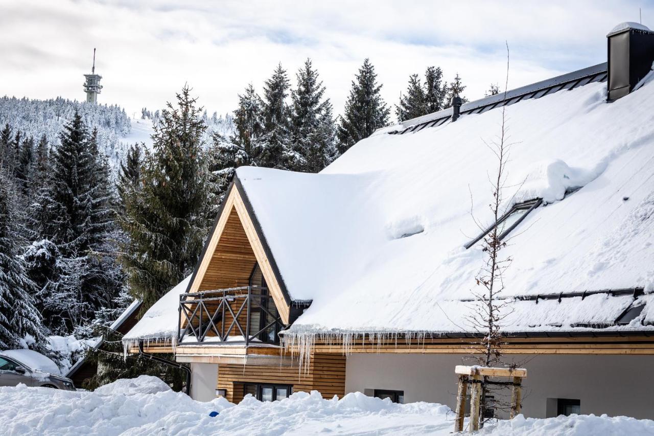 Ski Chalet Klinovec Loučná pod Klínovcem Eksteriør billede