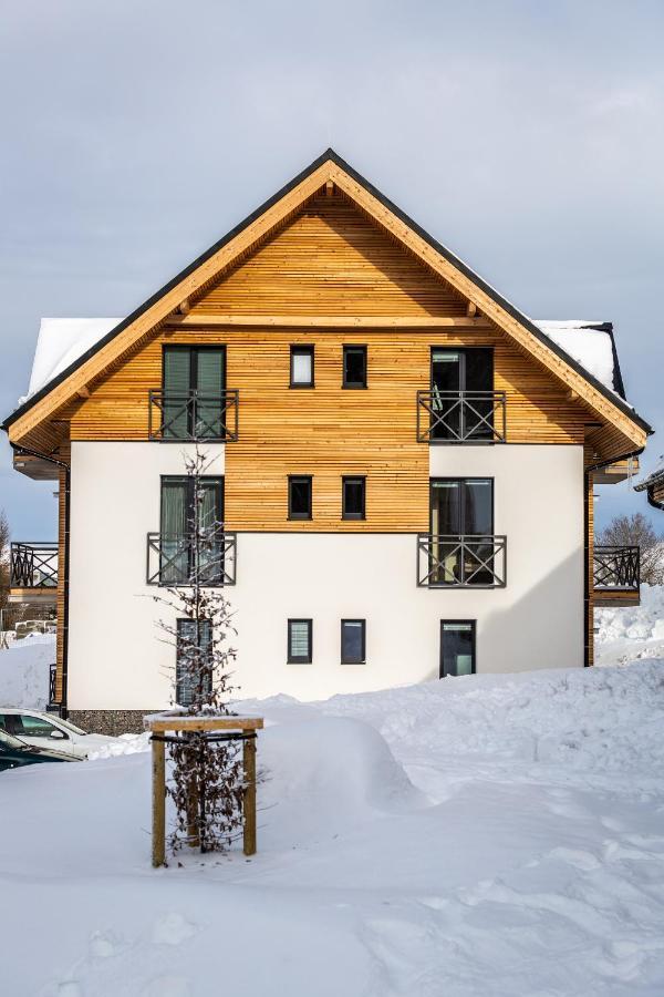 Ski Chalet Klinovec Loučná pod Klínovcem Eksteriør billede