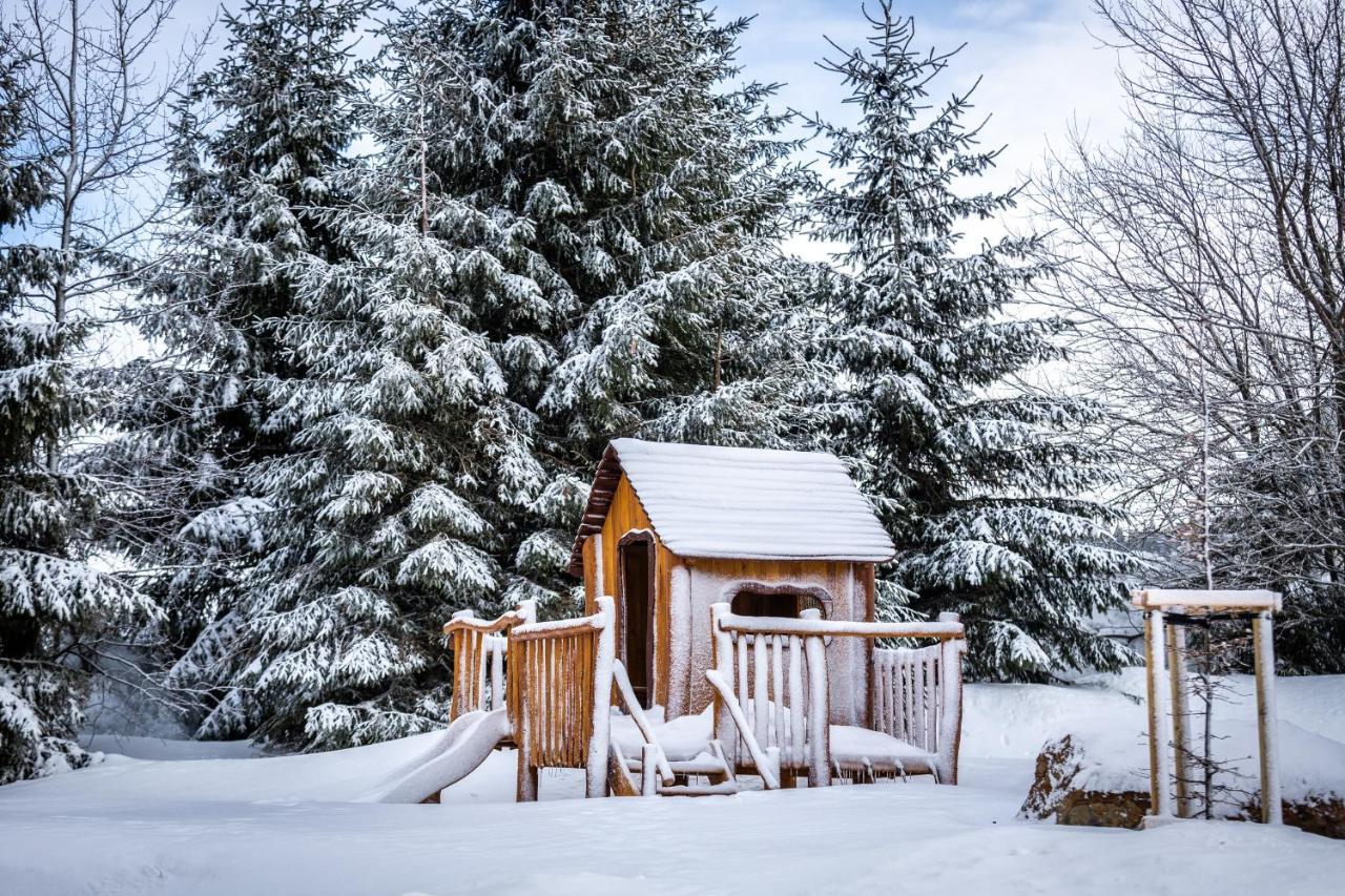 Ski Chalet Klinovec Loučná pod Klínovcem Eksteriør billede