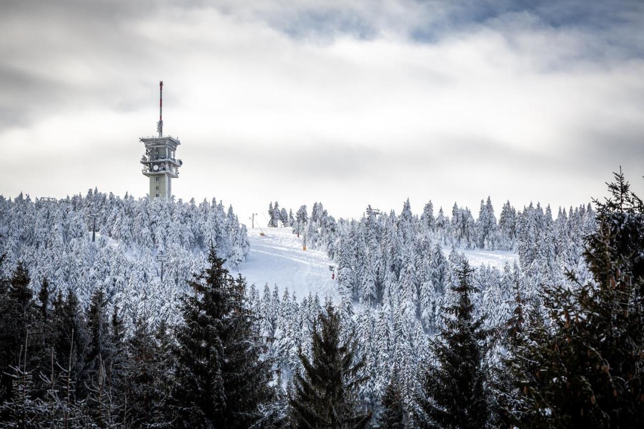 Ski Chalet Klinovec Loučná pod Klínovcem Eksteriør billede