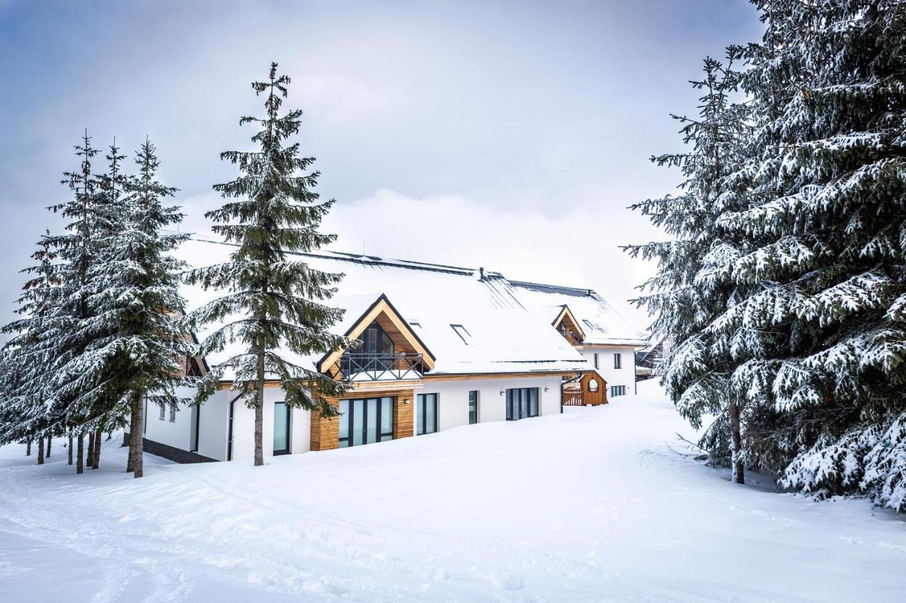 Ski Chalet Klinovec Loučná pod Klínovcem Eksteriør billede