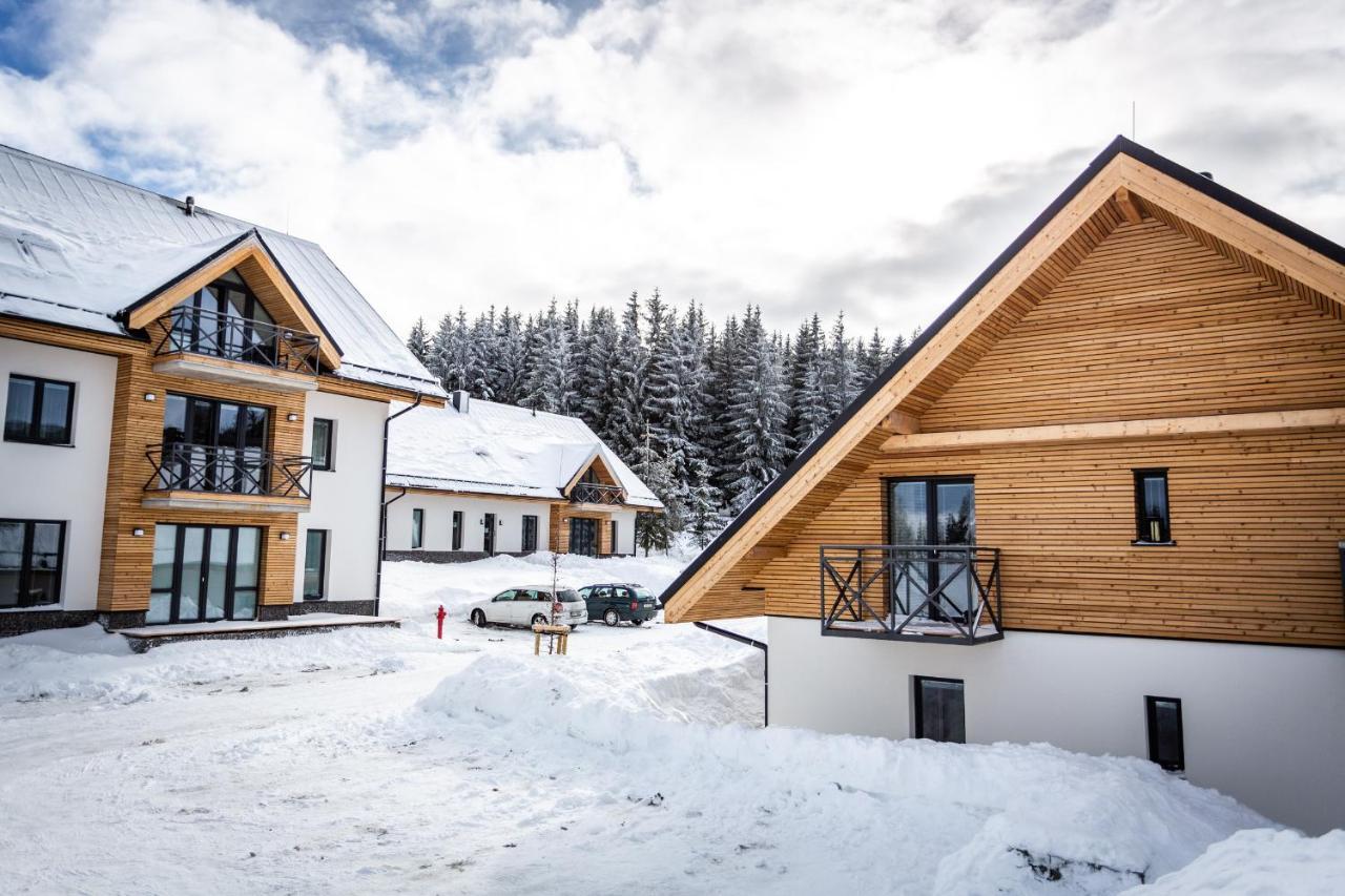 Ski Chalet Klinovec Loučná pod Klínovcem Eksteriør billede