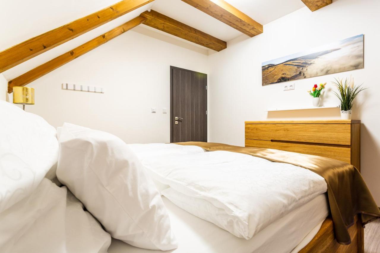 Ski Chalet Klinovec Loučná pod Klínovcem Eksteriør billede